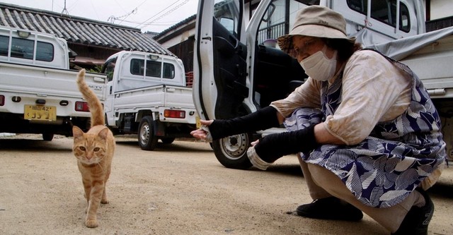 The Cats of Gokogu Shrine