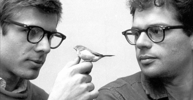 Beat Generation (französische Version)