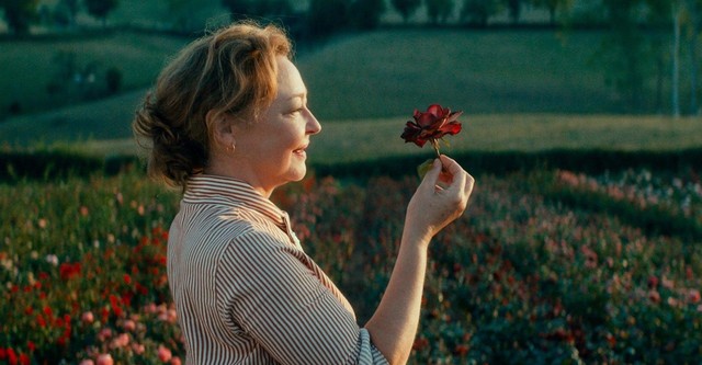 The Rose Maker