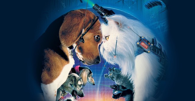 Som hund och katt