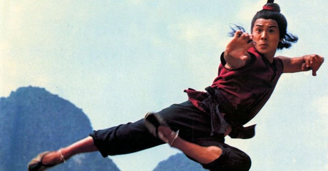 Meister der Shaolin 2