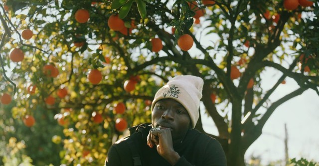 Fruits amers - L'exploitation des saisonniers agricoles