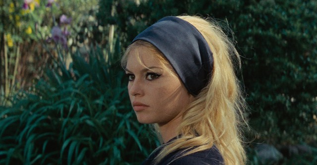 Contempt