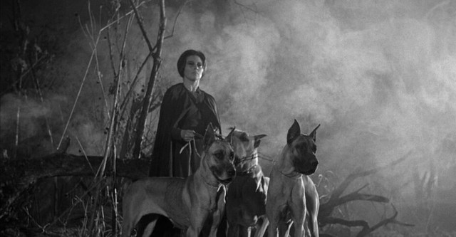 The Curse of the Crying Woman