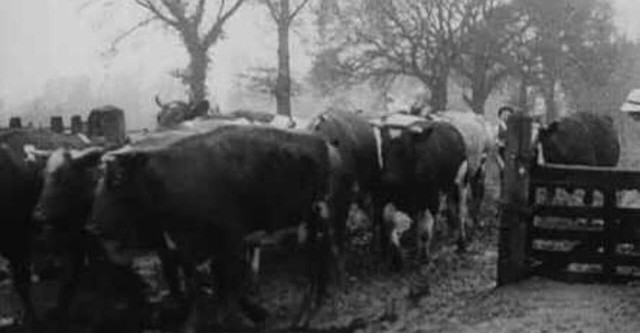 Women Farm Workers