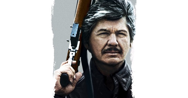 Death Wish 4: The Crackdown