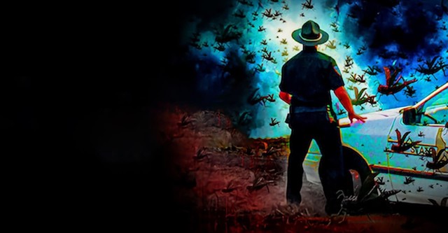 Heuschrecken - die achte Plage