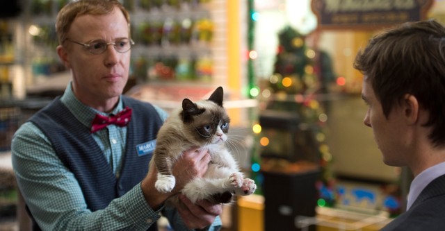 Joyeux Noël Grumpy Cat !