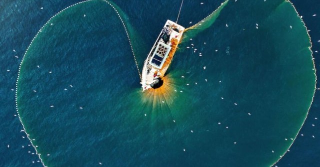 A Tutto Tonno - La Pesca del Tonno Rosso