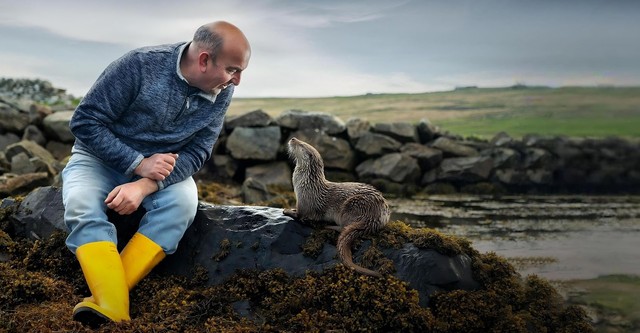 Billy & Molly: An Otter Love Story