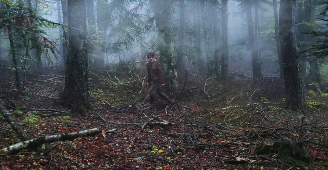 L'uomo nel bosco