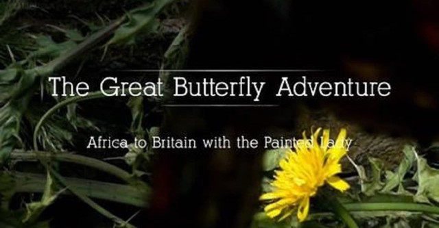 The Great Butterfly Adventure: Africa to Britain with the Painted Lady