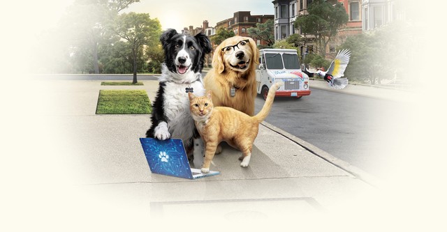 Cats & Dogs 3 - Pfoten vereint!