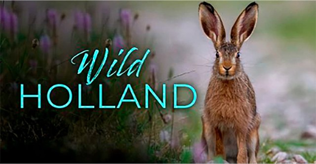 Wild Holland