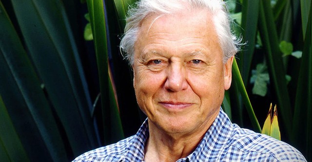 Gorillas Revisited with Sir David Attenborough