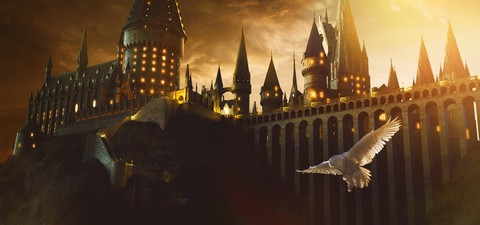 Nova Série 'Harry Potter' da HBO Max - Onde Você Já Viu o Elenco?