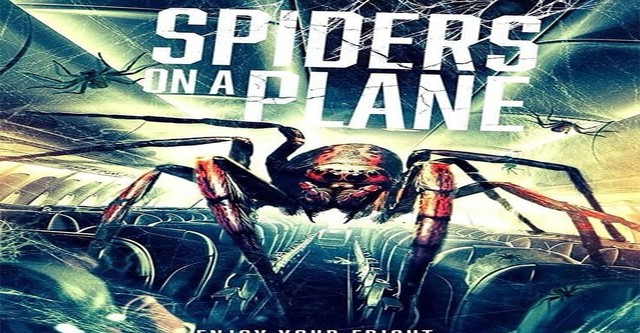 Spiders on a Plane