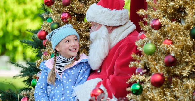 Un miracolo sotto l'albero