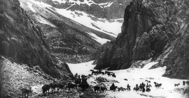 Grass: A Nation's Battle for Life streaming