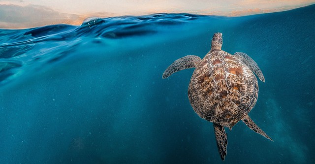 Oman - Meraviglie naturali d'Arabia