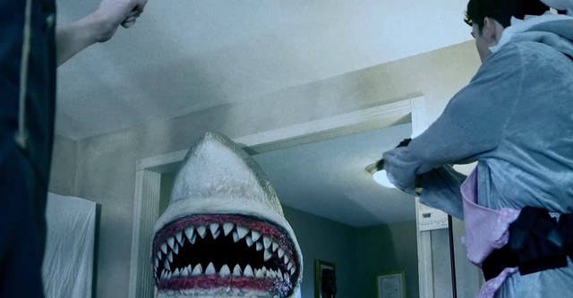 House Shark