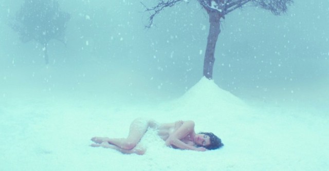 Pájaro blanco de la tormenta de nieve