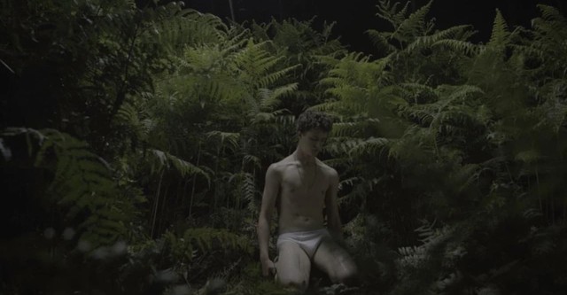 New Queer Visions: The Last Days of Innocence