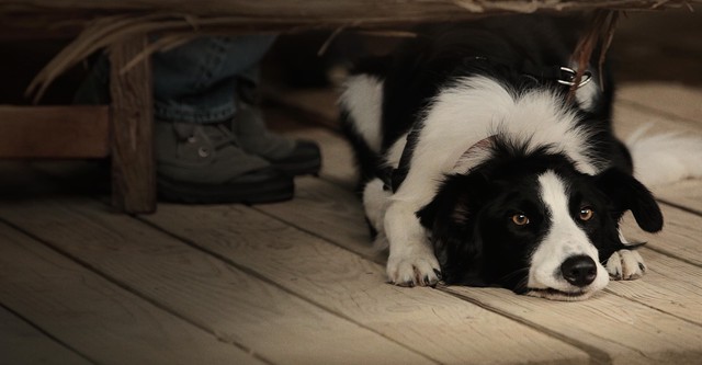 Cooper. Un angelo inaspettato