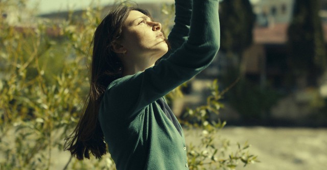 What Do We See When We Look at the Sky?