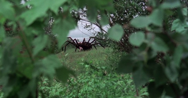 A Invasão das Aranhas Gigantes