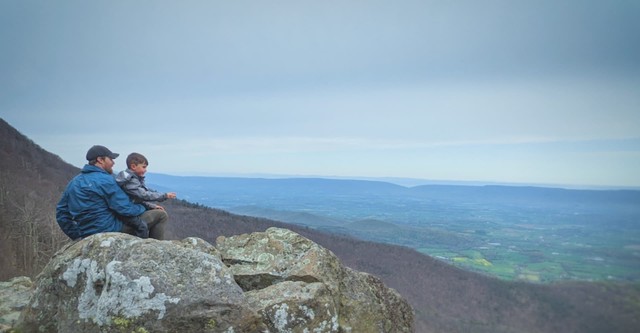 Beyond the Tree Line