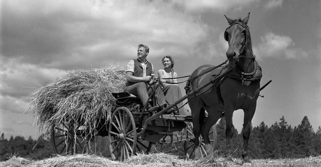 The Romance of Rosy Ridge