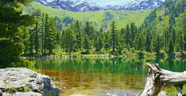 La Beauté Sauvage des Balkans