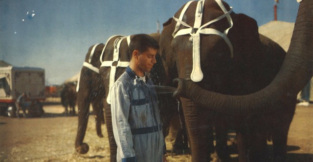 El rey del circo