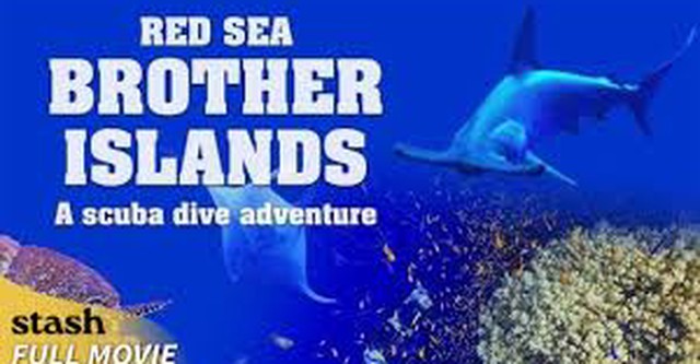 Brother Islands, a Scuba Dive Adventure