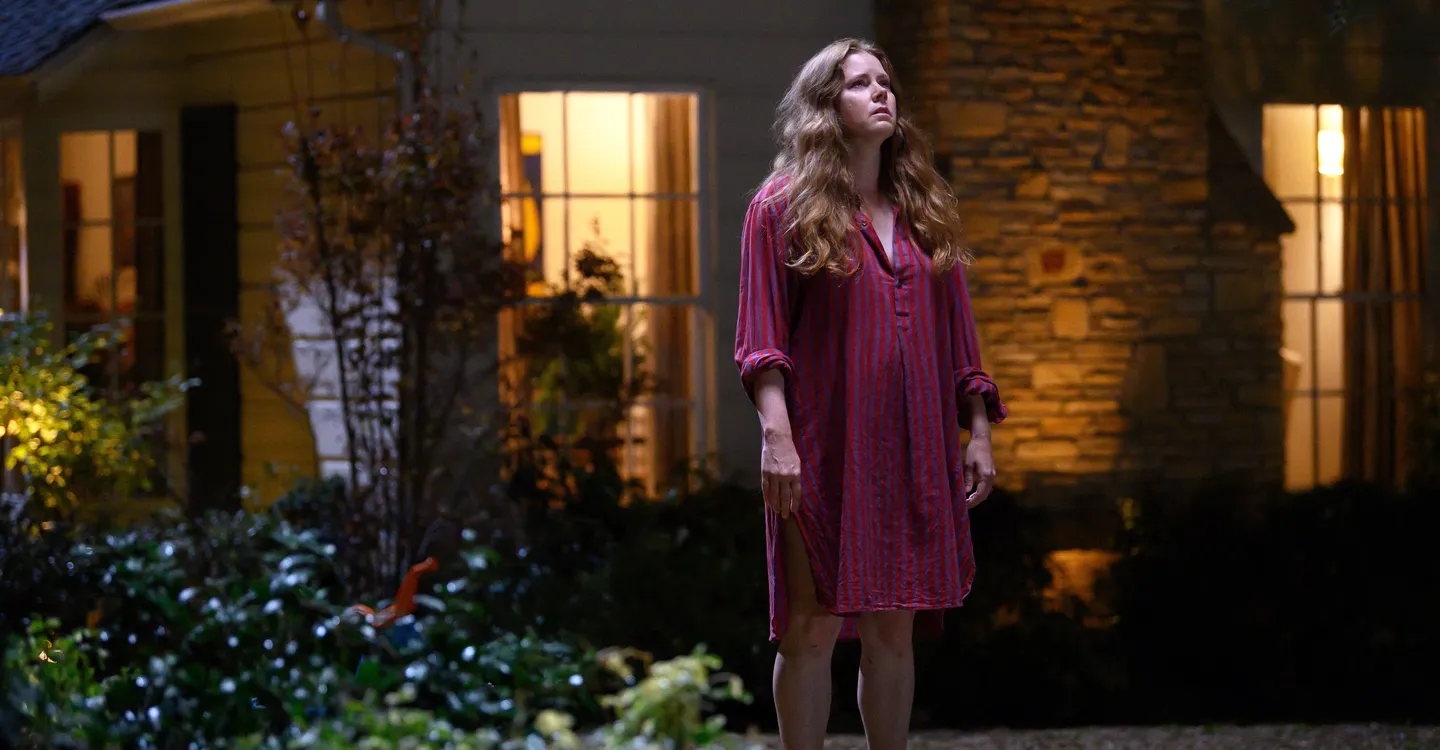 How (and Where) to Watch the Best Amy Adams Movies