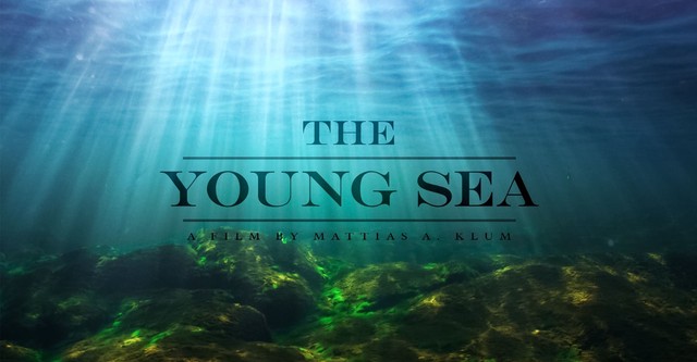 The Young Sea