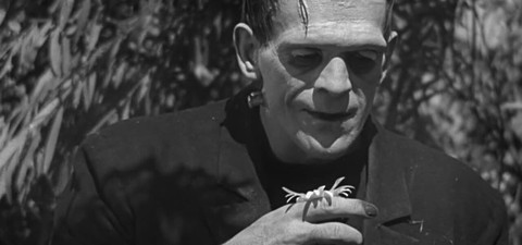 Descubre dónde puedes encontrar todas las películas de la saga de Frankenstein, en orden