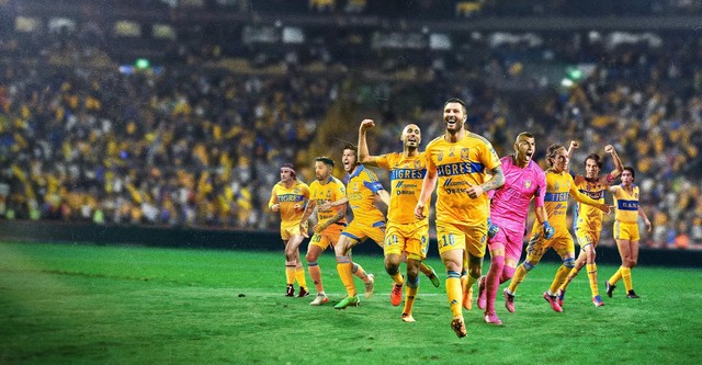 Tigres La Historia Perfecta