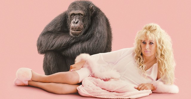 Chimp Crazy