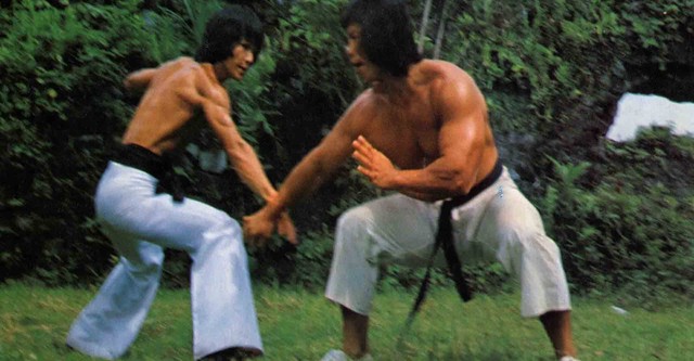 Bruce Lee: Superhéroe al rojo vivo