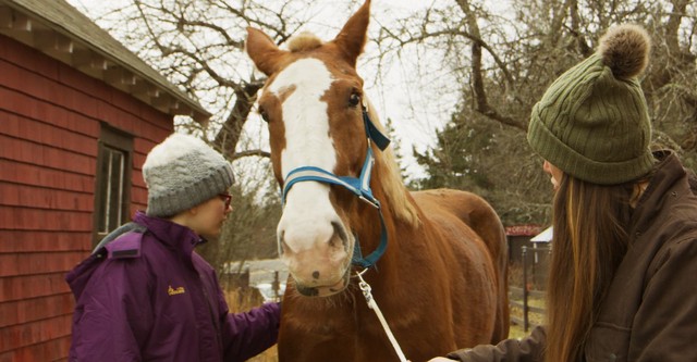 December Horses