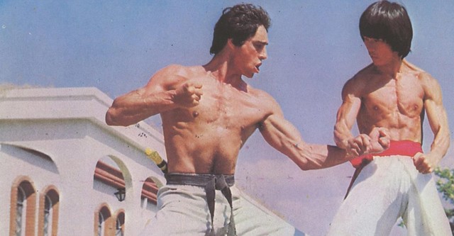 Bruce's Fists Of Vengeance