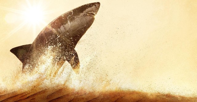 Los tiburones del mar Rojo