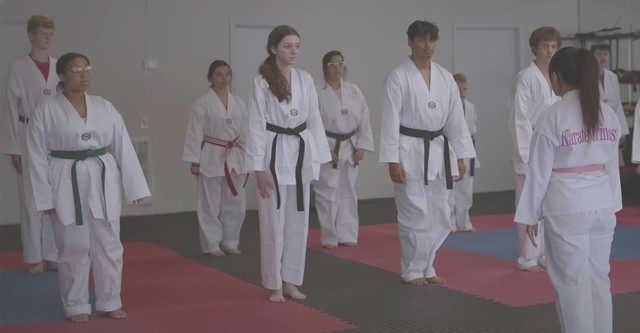The Karate Princess