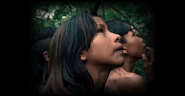 The Buriti Flower