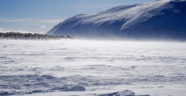 Terres sauvages du Nord