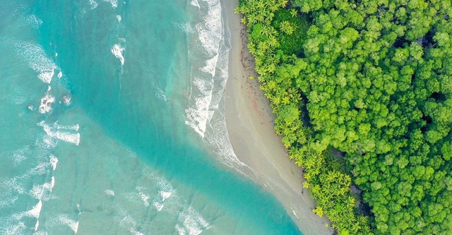 Costa Rica: The Rise of Nature