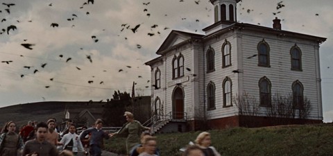 Da Pysco a Gli uccelli: i 15 migliori film di Alfred Hitchcock in streaming e dove vederli, noleggiarli e acquistarli