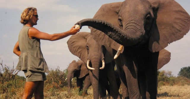 A Life Among Elephants